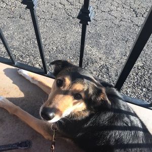 Meet your Posher, Tabitha